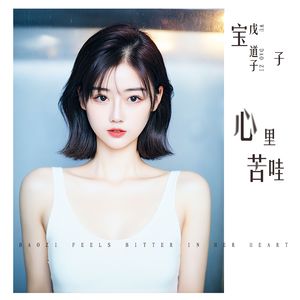 宝子心里苦哇 伴奏