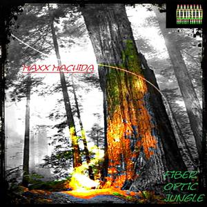 Hellacopta (Flawless Tracks Remix)