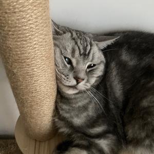 为什么我写不出快乐的歌