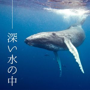 深い眠りへ導く