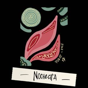 Nochecita