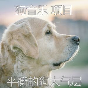 一尘不染小狗印象数