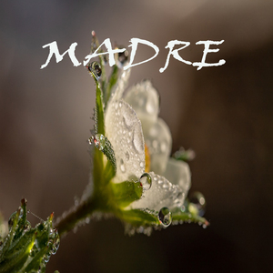 Madre