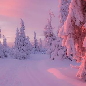 狮子座（吉他伴奏）