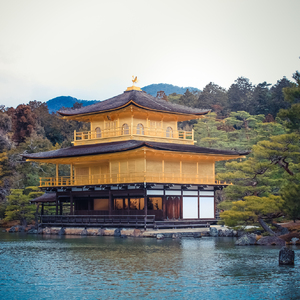 Caro Mio Ben 我亲爱的（翻自 无）