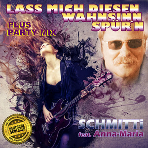 Lass mich diesen Wahnsinn spür'n (Schmitti Solo Radio Edit)