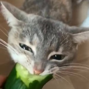 One in a Million（万里挑一）