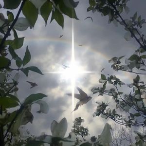 “Miss” toosii type beat