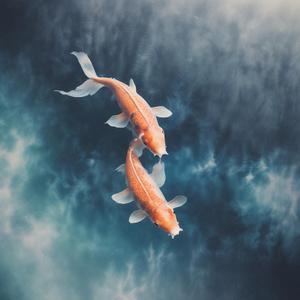 夜の影 (Yoru no Kage) by @bluesyamplifier2556