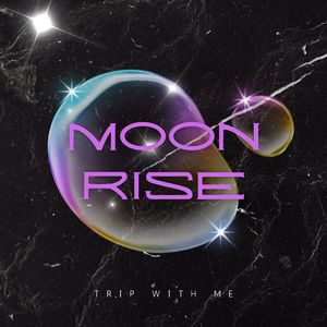 我想去月球 (To The Moon)