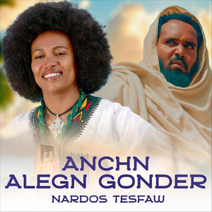 Anchn Alegn Gonder