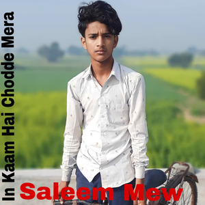 In Kaam Hai Chodde Mera