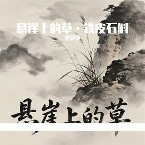 悬崖上的草·铁皮石斛