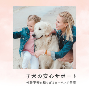 愛犬と共に過ごす静寂