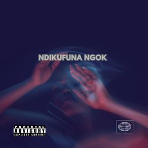 NDIK'FUNA NGOK (feat. Shatta)