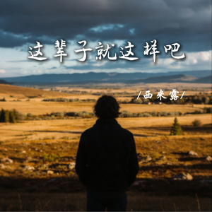 这辈子就这样吧