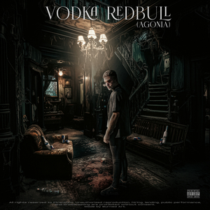 VODKA REDBULL (AGONIA)