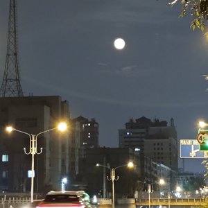 我是真的爱上你（片段）