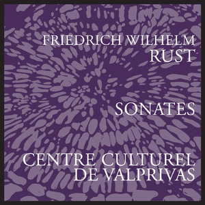 Piano Sonata No. 11 in F-Sharp Minor: II. Larghetto