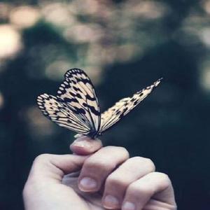 当我孤独的时候还可以抱着你