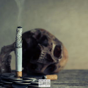 Charuto Cubano