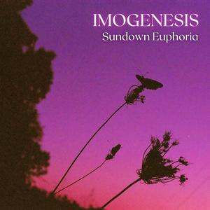 Sundown Euphoria