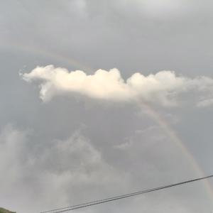 找朋友（恐怖版）