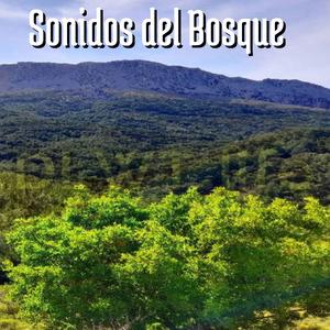 Sonidos del Bosque