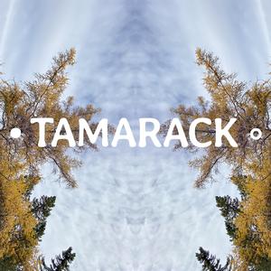 Tamarack