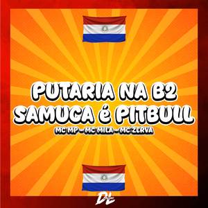 PUTARIA NA B2 VS DJ SAMUCA É PITBULL