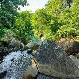 旧照片里的午后