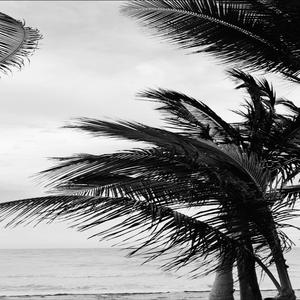 La Plasha (Studio Version)