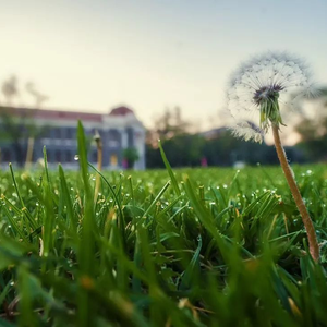 一生有你（cover:水木年华）--钢琴曲