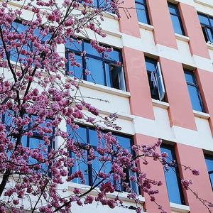 多远都要在一起