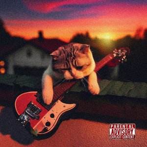 Como Un Gato En El Tejao