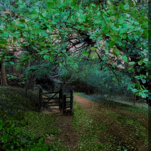 Escape From This Town