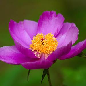 Relaxing white noise 13