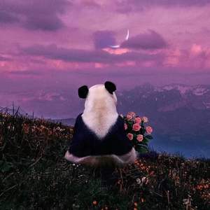 愚人