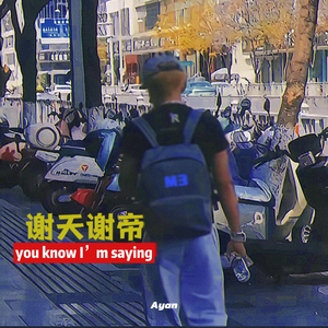 诺米么Lodmemo-谢天谢帝 （阿岩 remix）