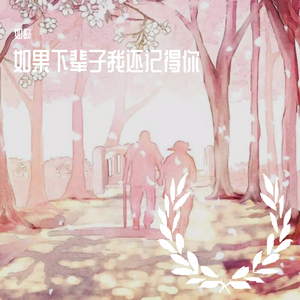如果下辈子我还记得你