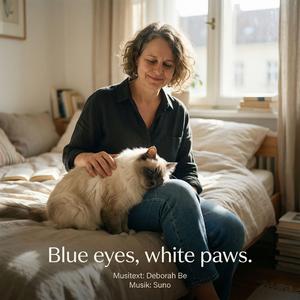 Blue Eyes White Paws