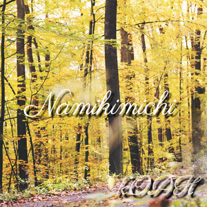 Namikimichi