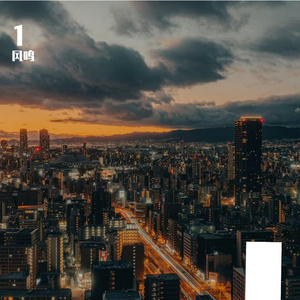 日记本夹枯叶薄