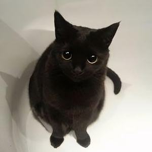 i just want my open man