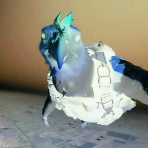 DA-DA (Super Slowed)