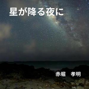 星が降る夜に