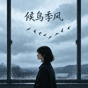 候鸟季风