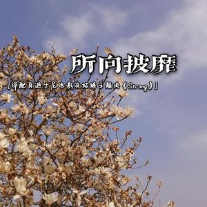 所向披靡（Strong）（翻自 Sonna Rele）