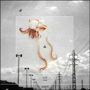 Portrait (Original Mix)