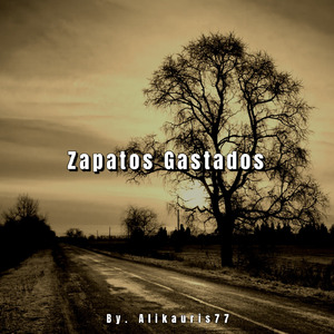 Zapatos Gastados